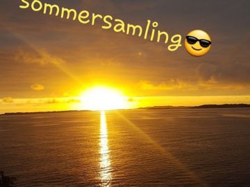 sommersamling-2019